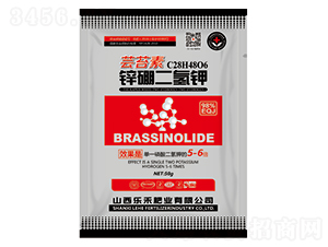 �|̦���\������-��(l��)�̷ʘI(y��)