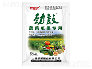 �߲˹Ϲ����÷�-�Ź�-��(l��)�̷ʘI(y��)