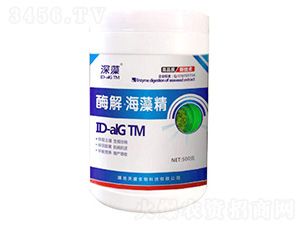 ø�⡤���徫-����-��ʢ����