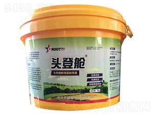 ����ø�⺣����ĸҺ-�^��œ-��ʢ����