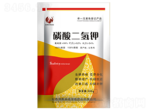 ��������-˹���Z