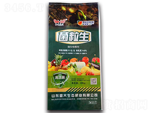 2�|΢�������-������-ʢ�����B(t��i)