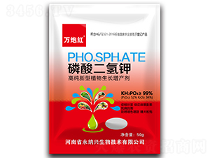 ��������-�f(w��n)�ڼt-���{�d