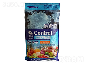 ̼ø��΢�������-Դ������