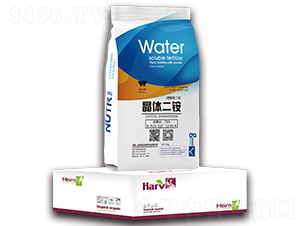 ���w���@12-61-0-�֠���(y��u)