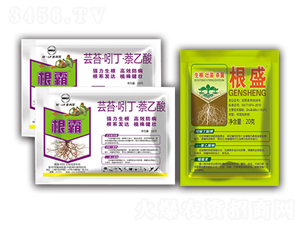 ��ʢ+����-�滯���h(yu��n)