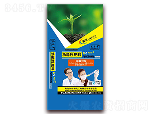 ������͹����Է���16-7-9-�|���S