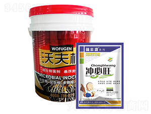 �_����+�ַ��-����