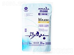 ϲ�������������ǣ�-ϲ�ϼ�-����S