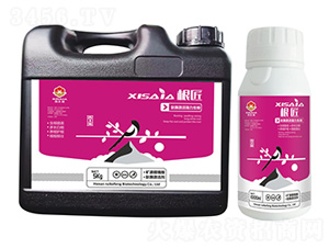 ��������ø���(qi��ng)��������-ϲ�ϼ�-����S