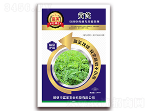 �S��������������ˎ�ĳ��݄�-����