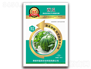 ����������ó��݄�-����