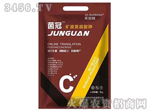 ���ڵVԴ�S�����-����S