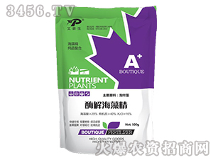 ø�⺣�徫-������