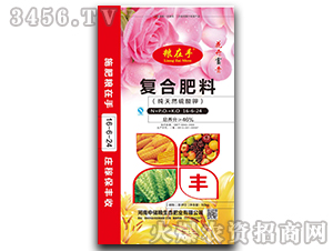 �ͺϷ���16-6-24-�Z����-�Ѓ��Z