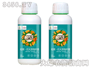 �ݲݡ��޴�ѿ�ߗU��-������-������