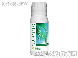 �پG�~-���ý�