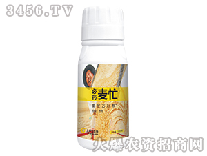 ��ˎ��æ-���ý�