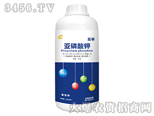 �������-��̩-���ý�