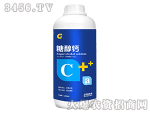 �Ǵ��}-���ý�