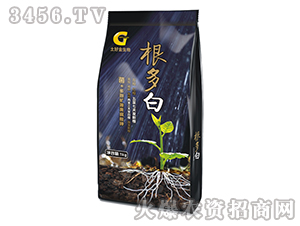 ��+��΢�VԴ�S�����-�����-���ý�