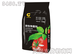 510g΢�������-��ˎ����-���ý�