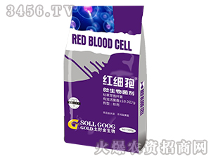 500g΢�������-�t��(x��)��-���ý�