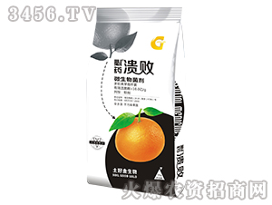 500g΢�������-��ˎ����-���ý�