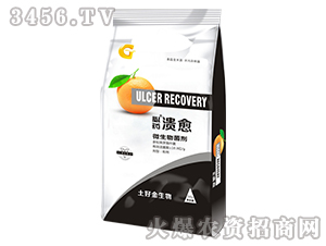 500g΢�������-��ˎ����-���ý�