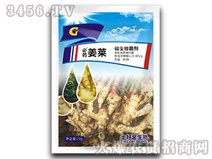 ΢�������-��ˎ���R-���ý�