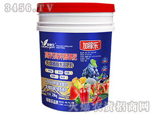 ���}��������-�Ӽژ�-�ڼژ�