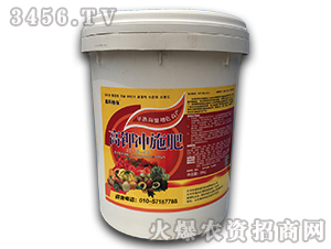 20kg��⛛_ʩ��-�ο�ֲ��-������