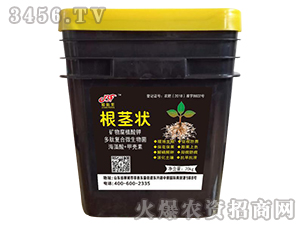 �V�ֲ︯���-���o��-�ӱ��S