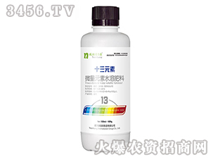 ΢��Ԫ��ˮ�ܷ���-ʮ��Ԫ��-�Z����