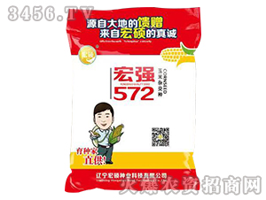 �ꏊ(qi��ng)572-�����s���N-��T�N�I(y��)