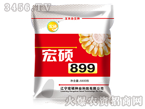 ��T899-�����s���N-��T�N�I(y��)