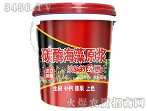 ̼ø����ԭ�{-���S�ʘI(y��)