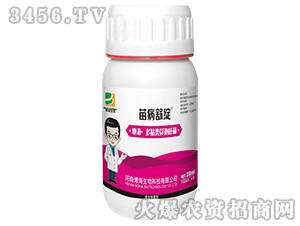 ΢�������-�粡��`-��������