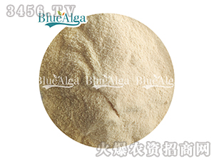 �~���ף��ۄ���-���u�{��