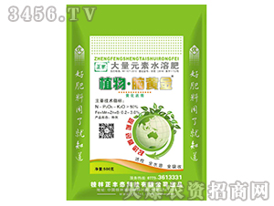 ֲ���X�S��-���S