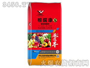 ΢�������-������-����S