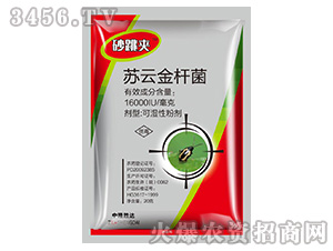 �K�ƽ�U��-ɰ���A-��¡���_