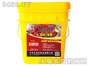 �߿�1̖(h��o)�����r(n��ng)��΢���������-����S