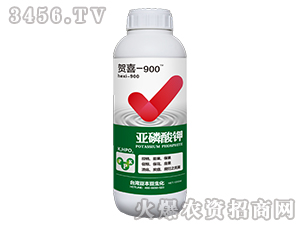 �������-�Rϲ-900-�_��������