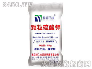 �w�������-�ɝ��ٴ�