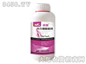 ��ϼ�������-�y(t��ng)��-Ǭ�r(n��ng)