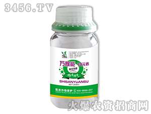 �f����13Ԫ�أ�ƿ�b��-Ǭ�r(n��ng)