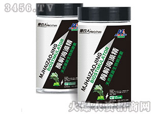 ø�⺣�徫-������-��ķ˹��