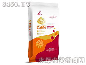 ����Ԫ��ˮ�ܷ�-�A��(chu��ng)����