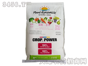 �������⛣�10kg��-����(r��n)����